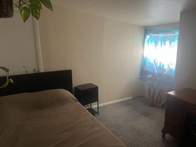 10678 Peoria Road Browns Valley, CA 95918 - Photo 19 of 22