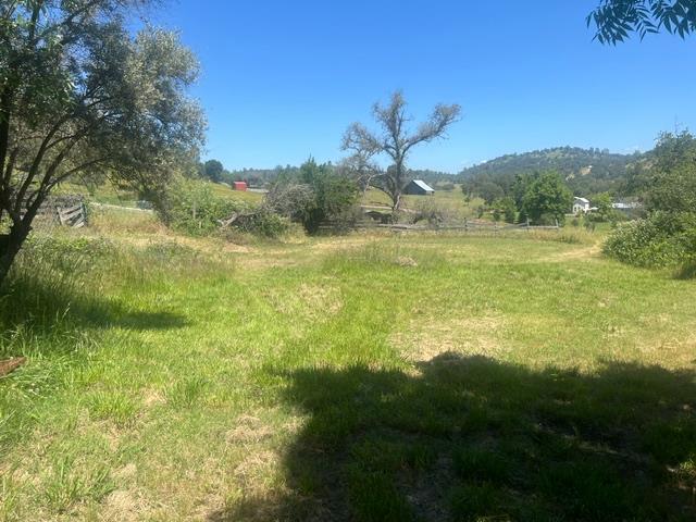 10678 Peoria Road Browns Valley, CA 95918 - Photo 6 of 22