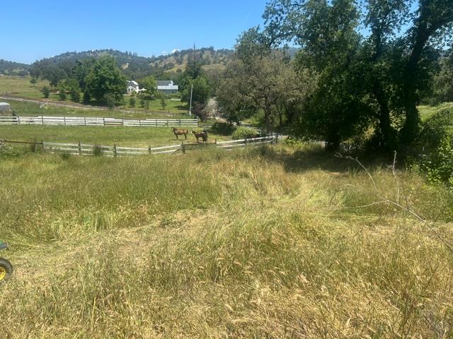 10678 Peoria Road Browns Valley, CA 95918 - Photo 8 of 22