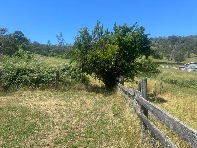 10678 Peoria Road Browns Valley, CA 95918 - Photo 9 of 22
