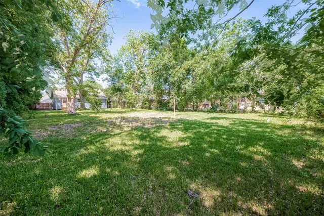 a view of outdoor space with trees all around
