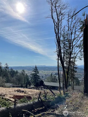 a view of a city that has large trees