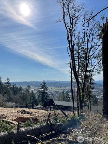 a view of a city that has large trees
