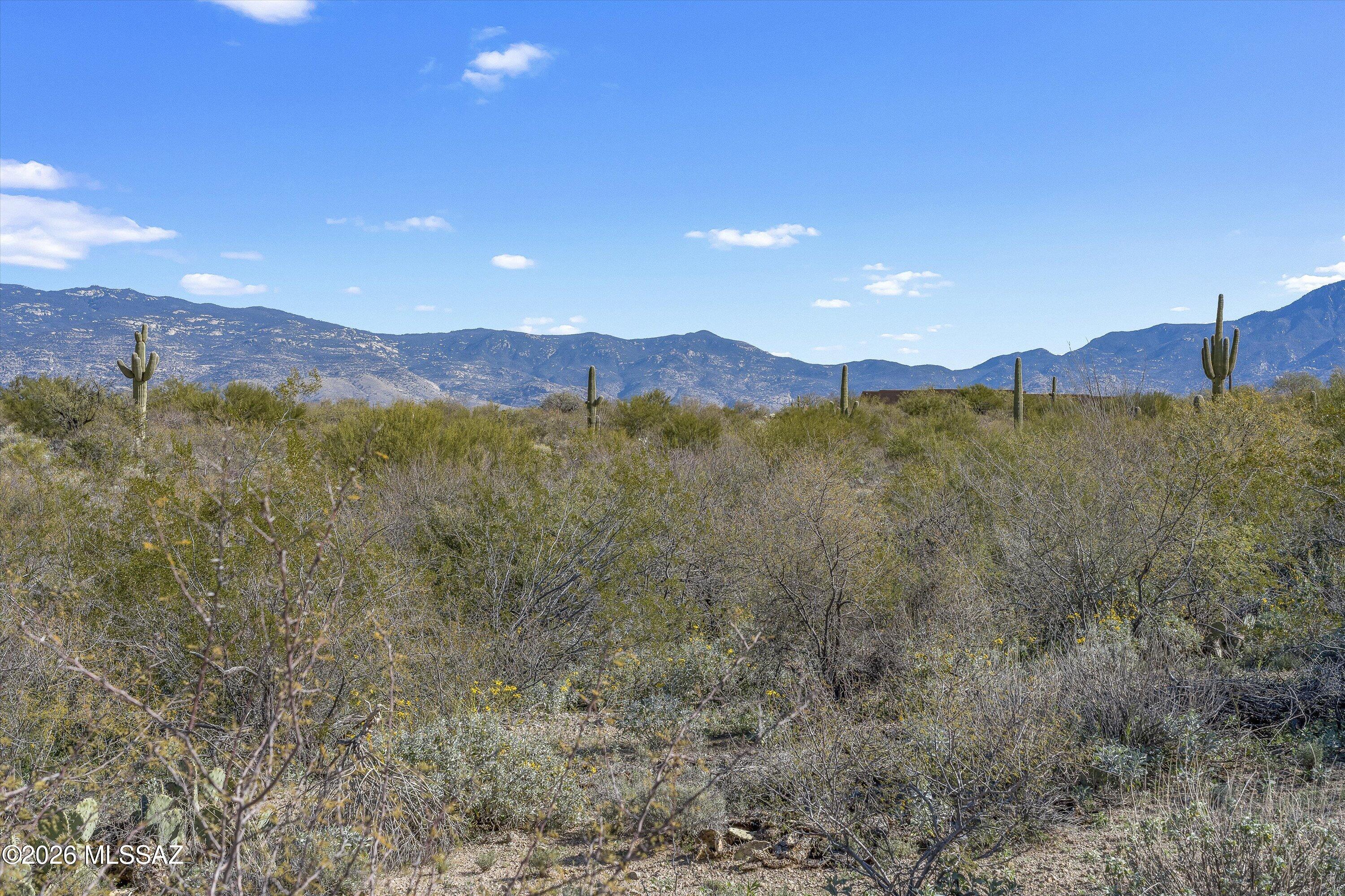 8293 South Tumbling Y Ranch Place, Unit 142 Vail, AZ 85641 - Photo 12 of 30
