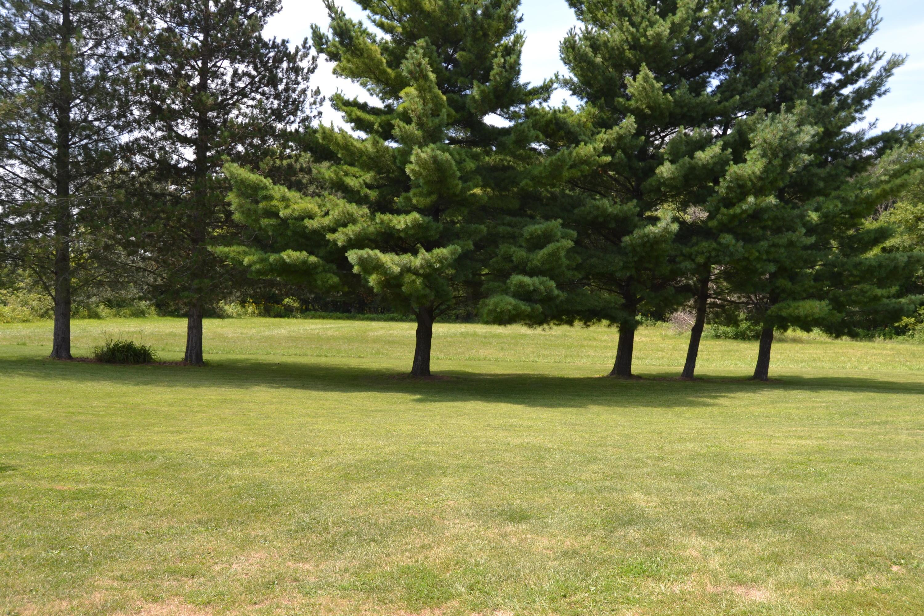 9000 Welsh Road Radnor, OH 43066 - Photo 26 of 28 Mature trees!