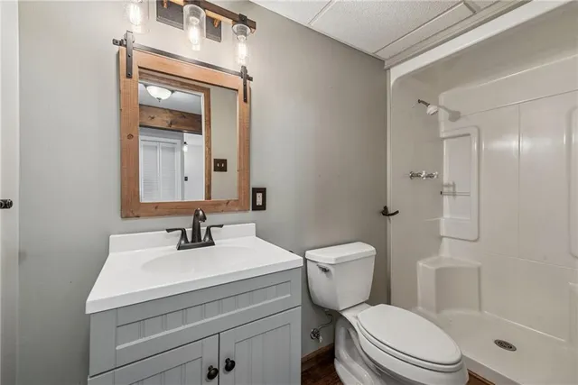 a bathroom with a toilet a sink a mirror and shower
