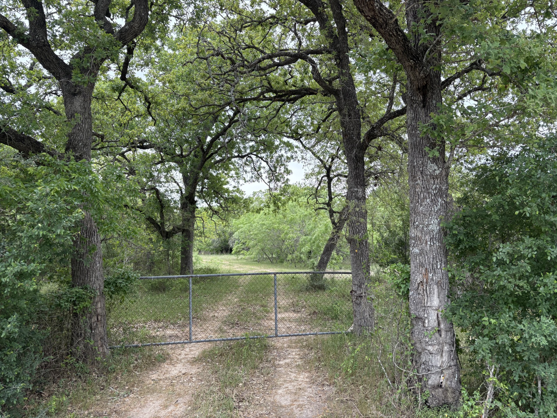 Gated Entry to the 207 acres