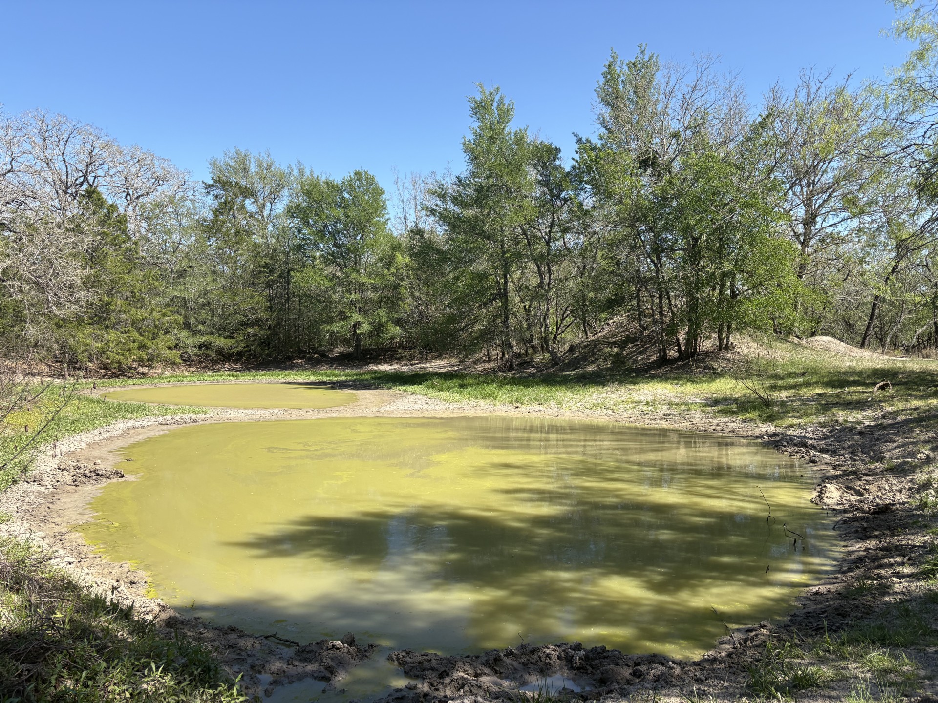 Tbd Anchor Ranch Loop Flatonia, TX 78941 - Photo 11 of 32