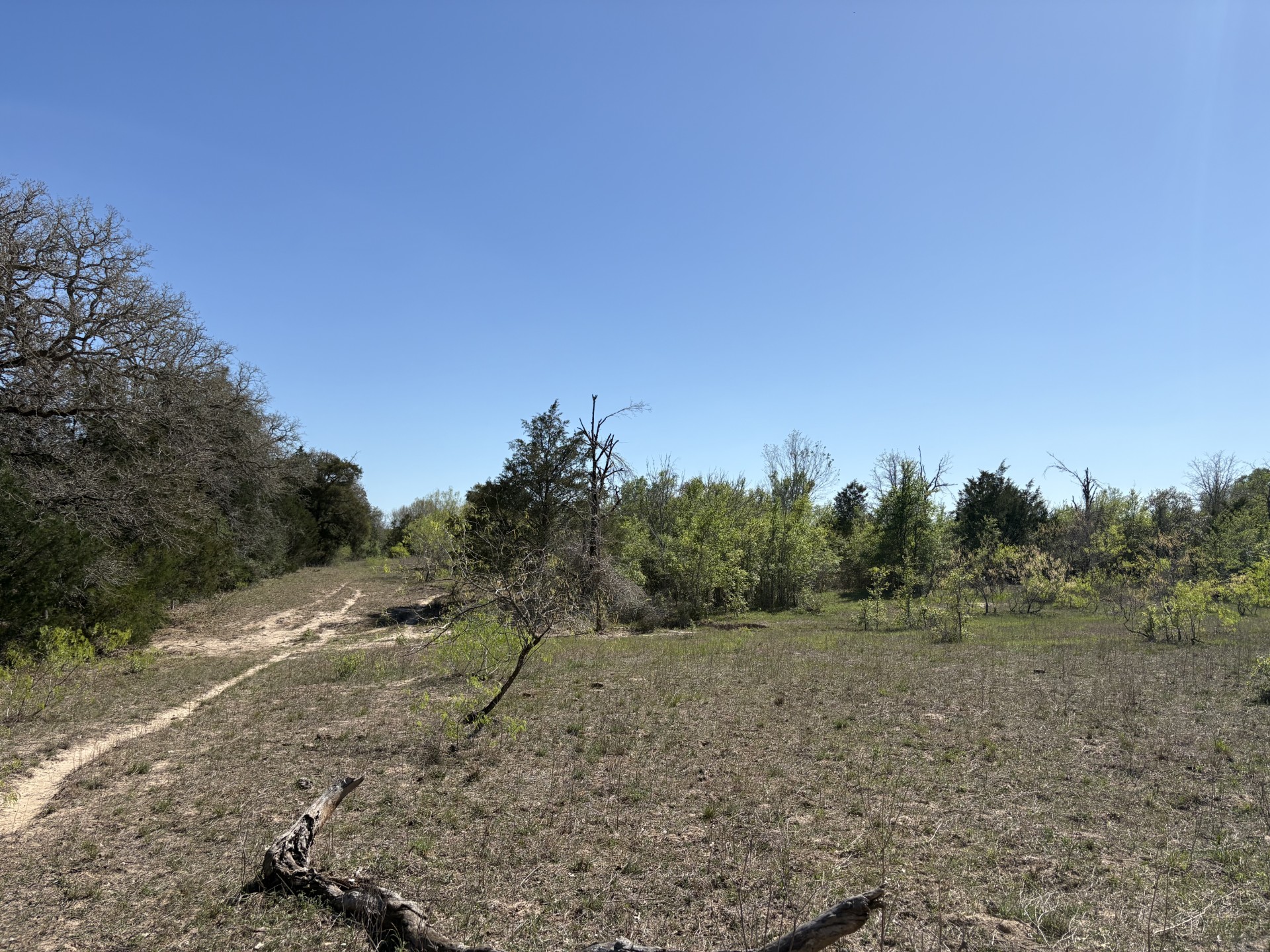 Tbd Anchor Ranch Loop Flatonia, TX 78941 - Photo 14 of 32