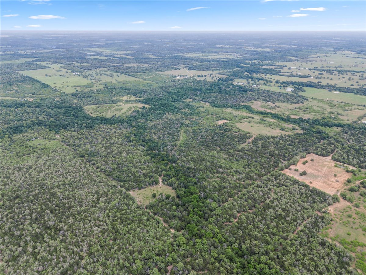 Tbd Anchor Ranch Loop Flatonia, TX 78941 - Photo 14 of 21 Aerial view