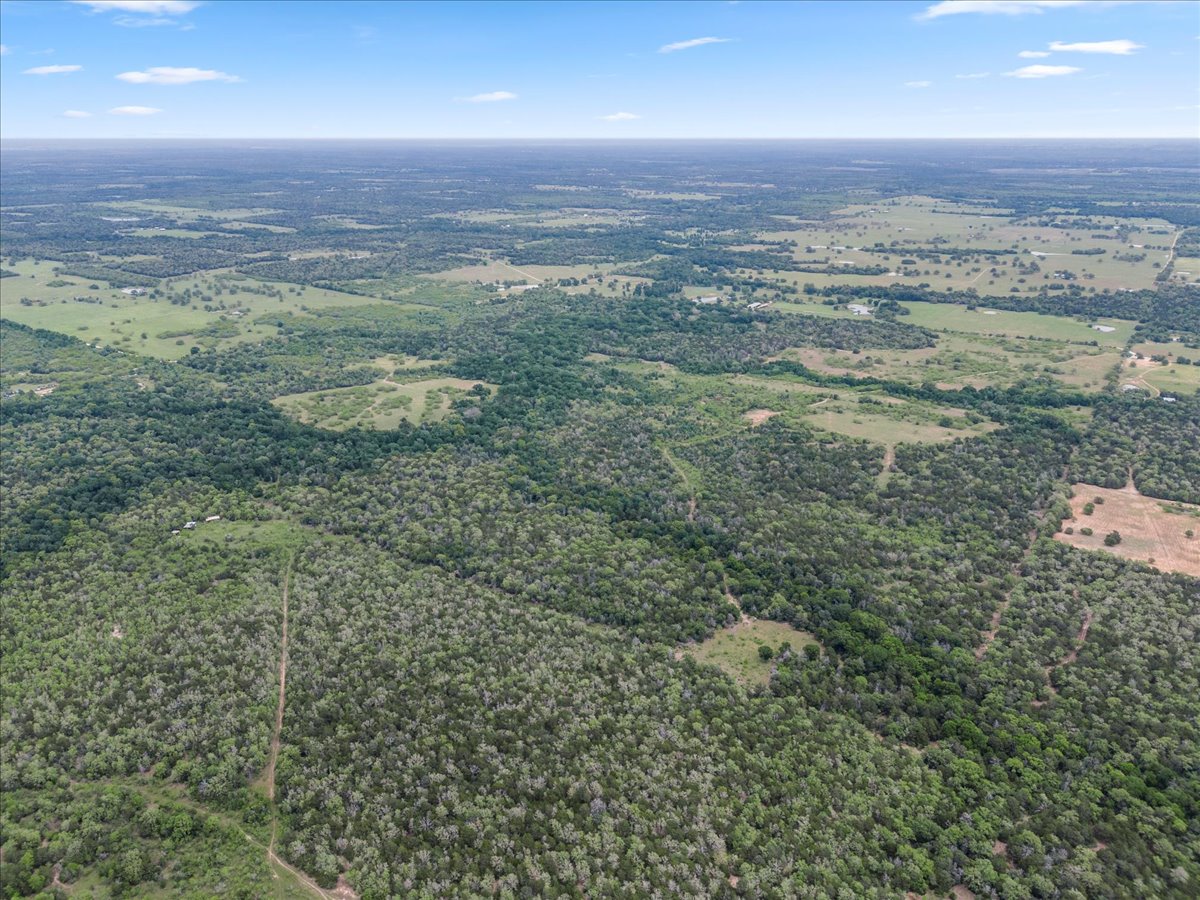 Tbd Anchor Ranch Loop Flatonia, TX 78941 - Photo 15 of 21 Drone / aerial view