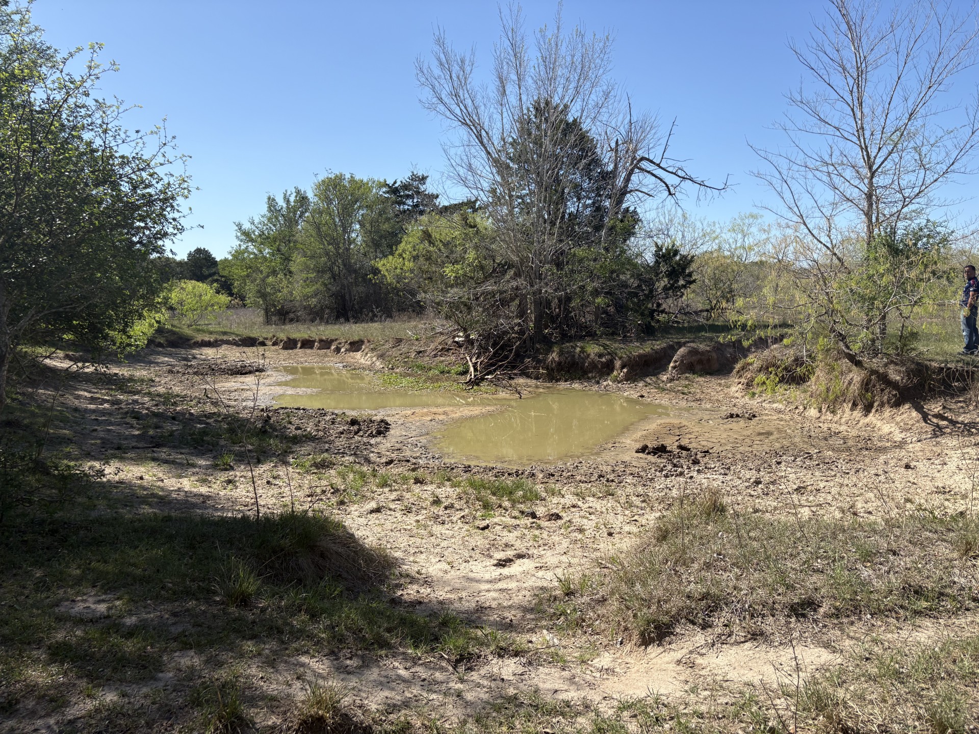 Tbd Anchor Ranch Loop Flatonia, TX 78941 - Photo 16 of 32