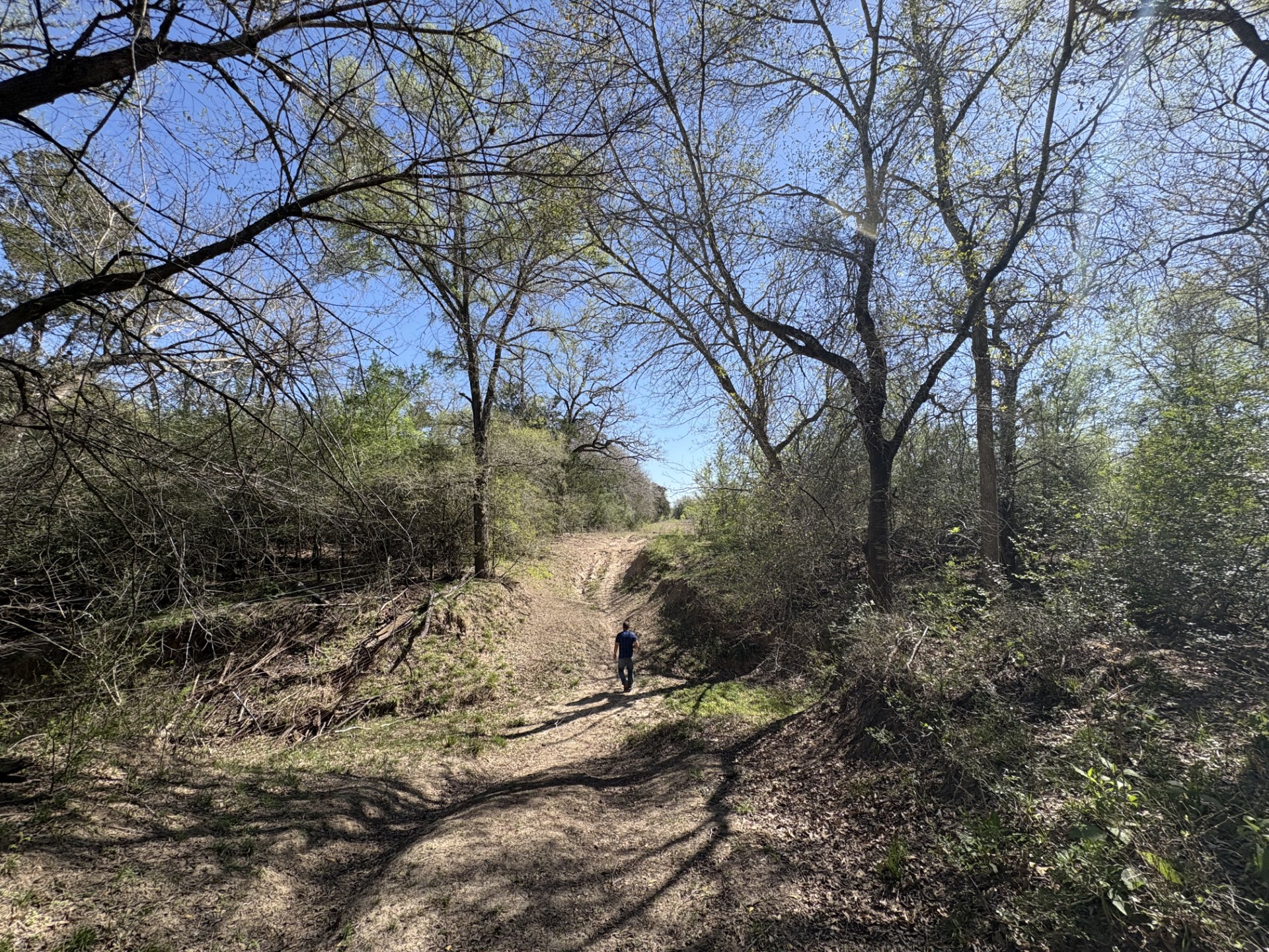 Tbd Anchor Ranch Loop Flatonia, TX 78941 - Photo 20 of 32