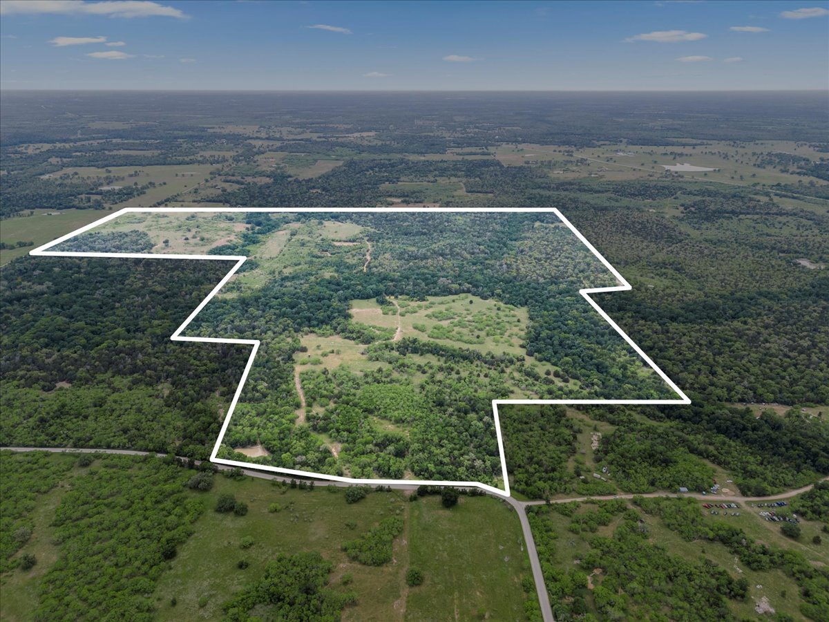 Tbd Anchor Ranch Loop Flatonia, TX 78941 - Photo 2 of 32 Drone / aerial view with a view of trees