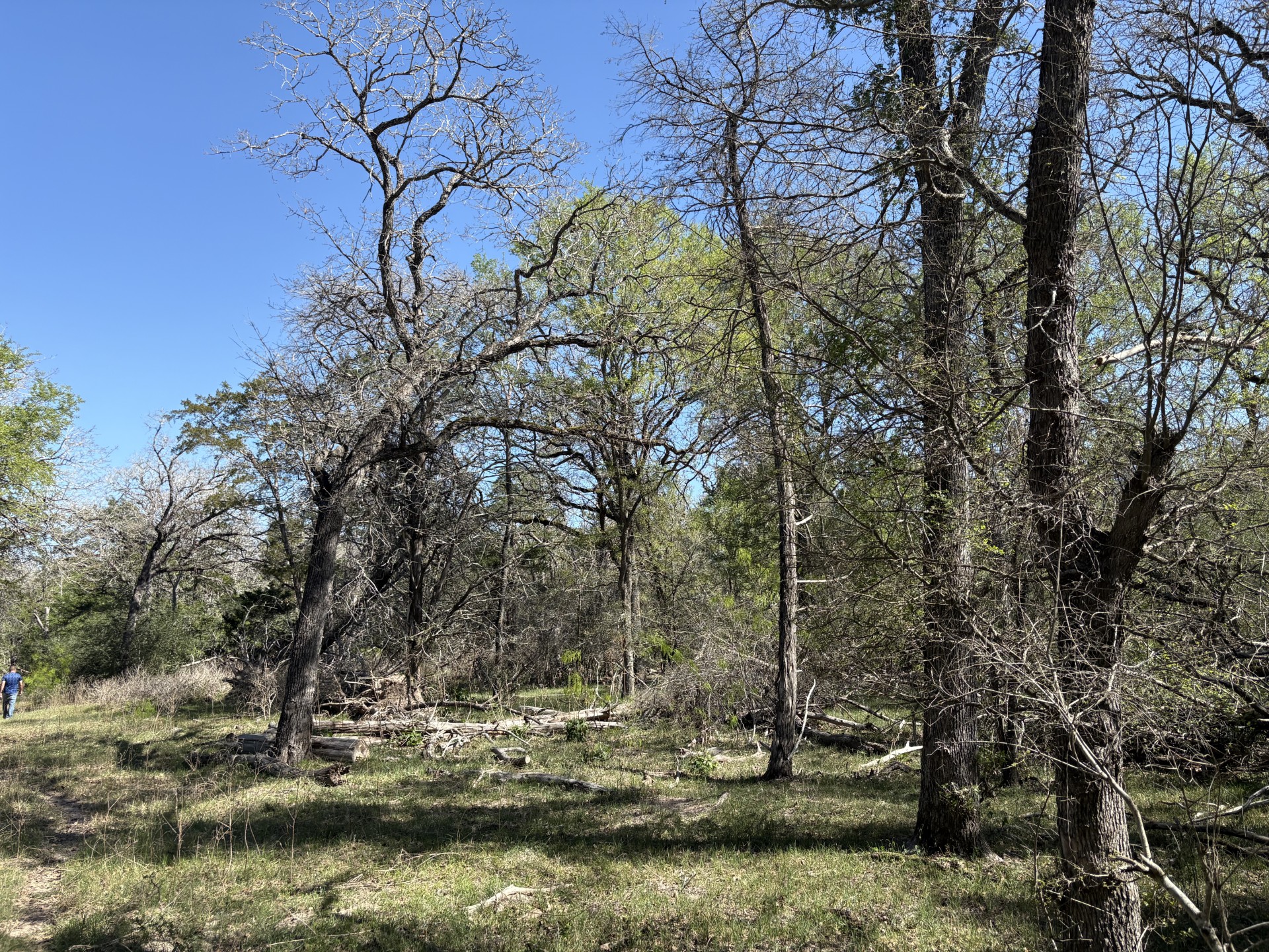 Tbd Anchor Ranch Loop Flatonia, TX 78941 - Photo 21 of 32