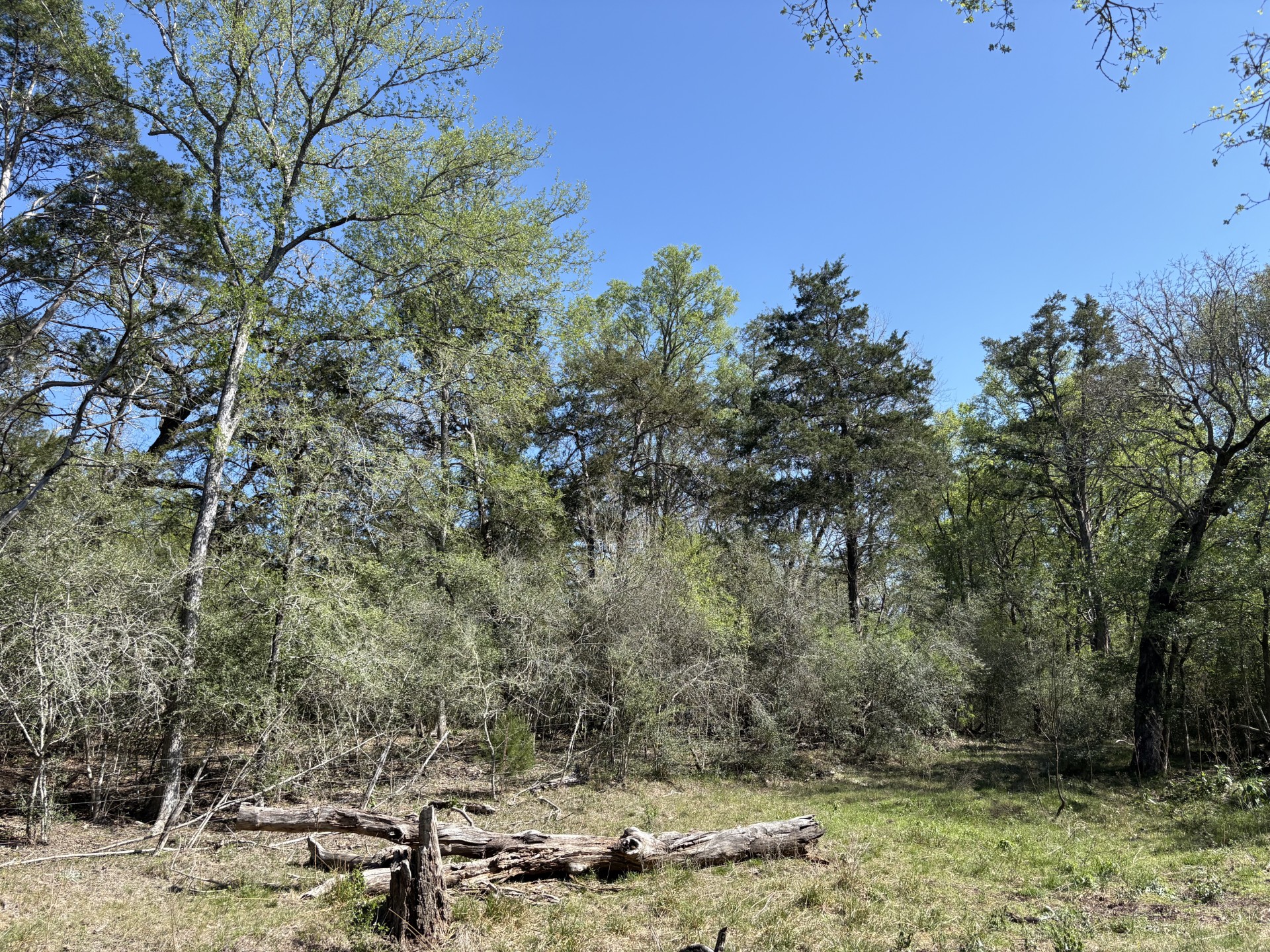 Tbd Anchor Ranch Loop Flatonia, TX 78941 - Photo 22 of 32