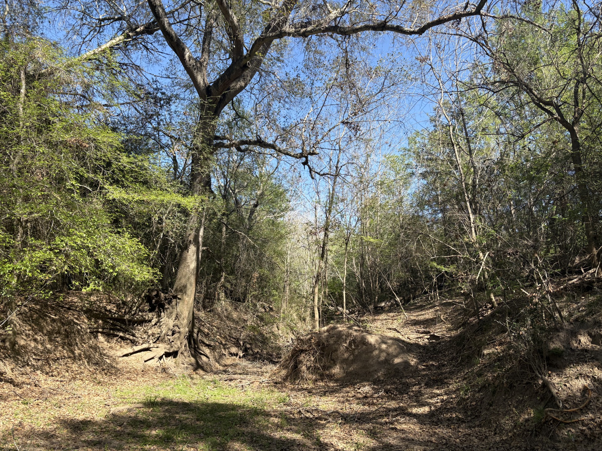 Tbd Anchor Ranch Loop Flatonia, TX 78941 - Photo 23 of 32