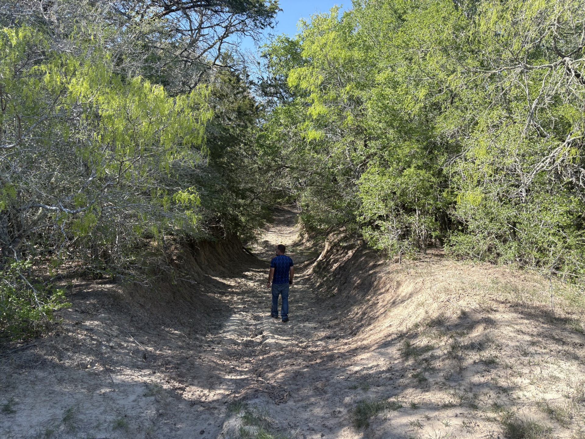 Tbd Anchor Ranch Loop Flatonia, TX 78941 - Photo 24 of 32