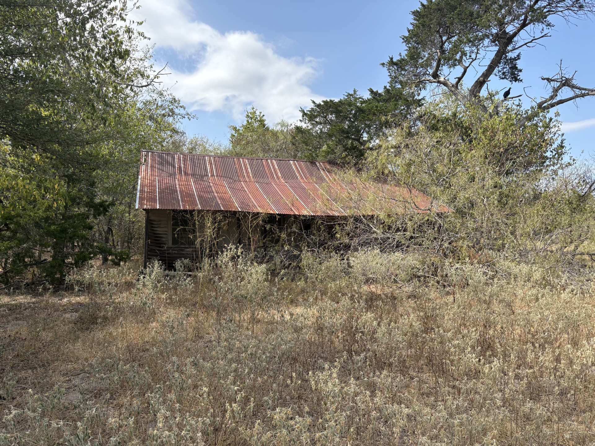Tbd Anchor Ranch Loop Flatonia, TX 78941 - Photo 3 of 21 View of old homestead