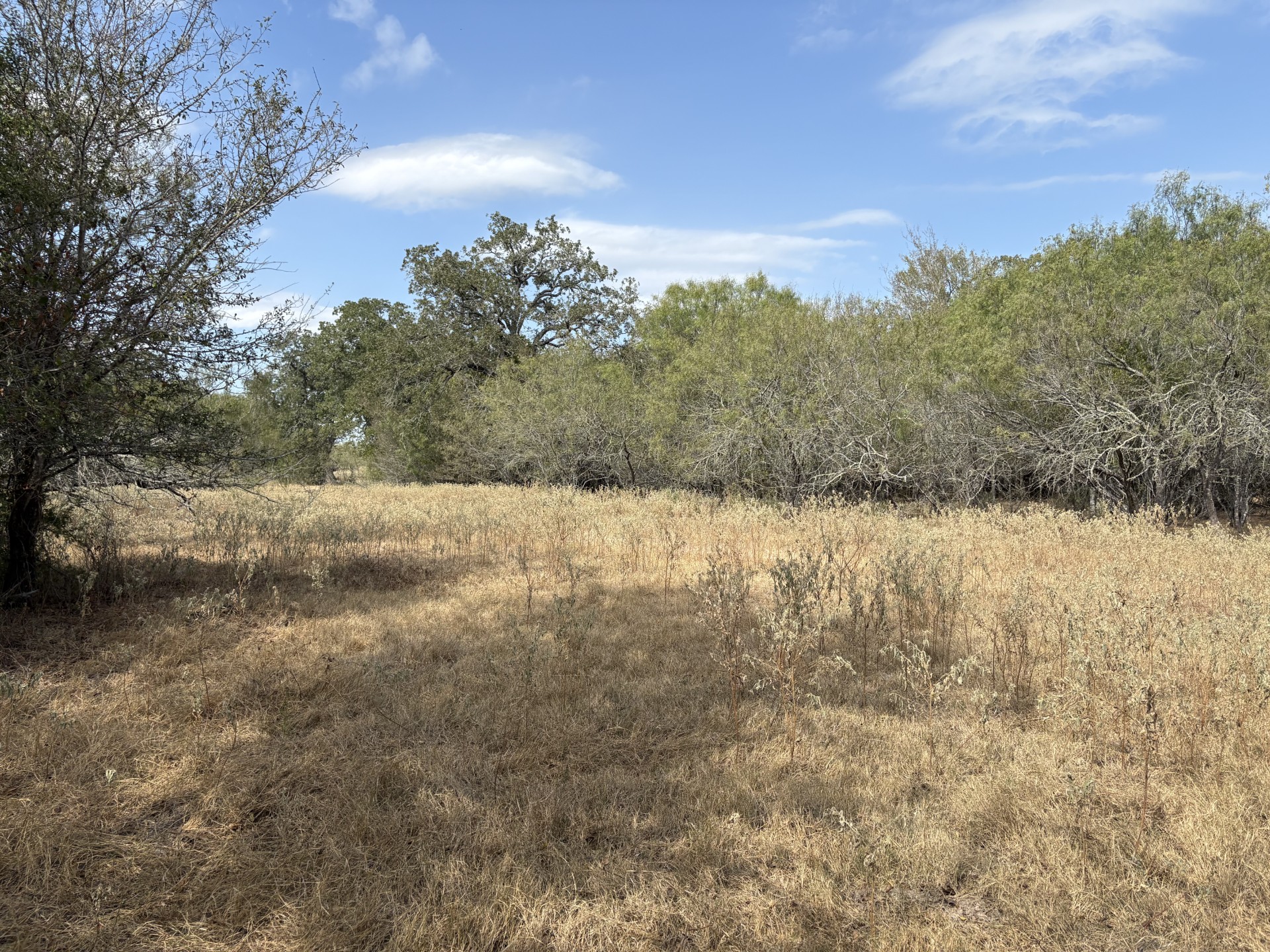 Tbd Anchor Ranch Loop Flatonia, TX 78941 - Photo 5 of 21 Bring the 4-wheeler to view and enjoy the property.