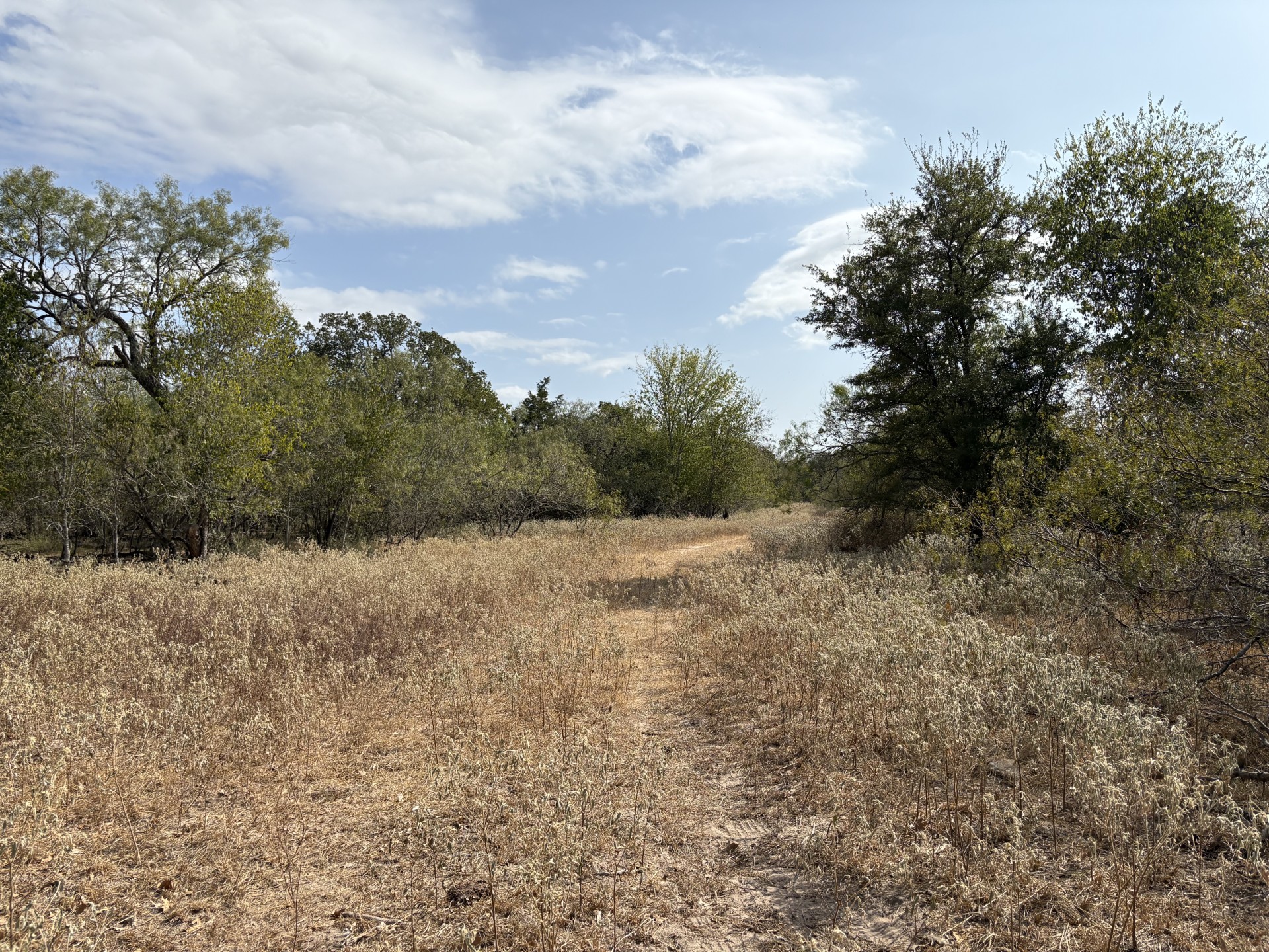 Tbd Anchor Ranch Loop Flatonia, TX 78941 - Photo 7 of 21 View of the mixture of Pasture and Trees.