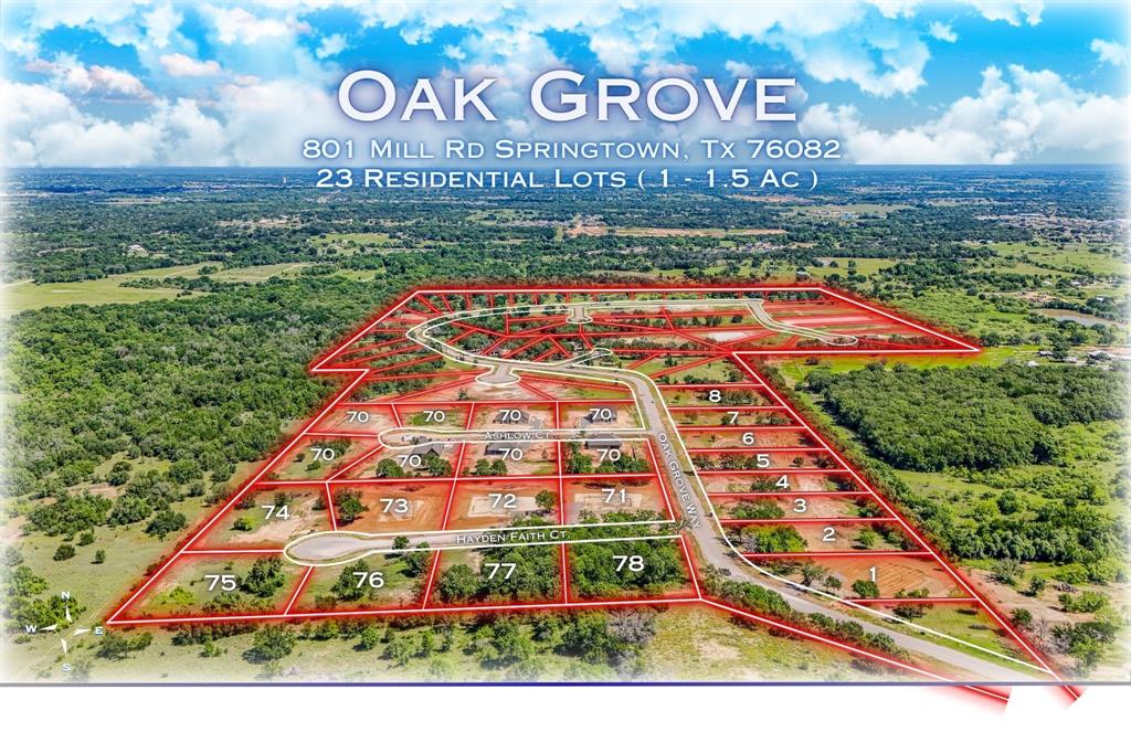 308 Jonny Boy Way Springtown, TX 76082 - Photo 1 of 9