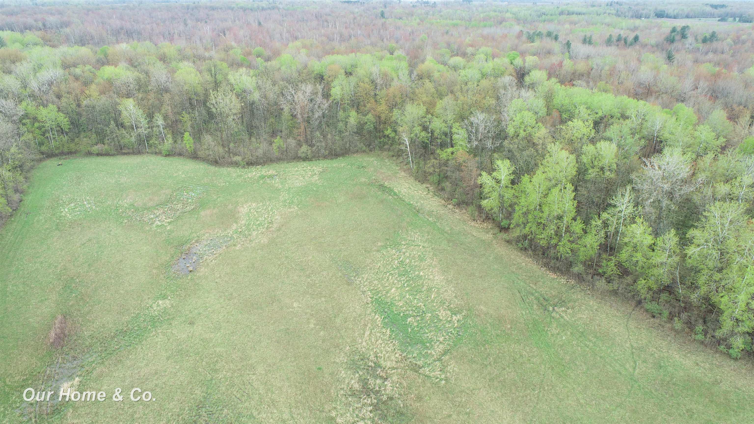 0 North Carter Road Pinconning, MI 48650 - Photo 3 of 29