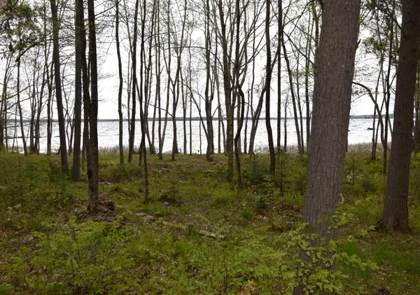 $355,000 | 106 Shady Lane, Newport, ME 04953