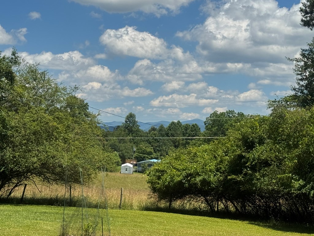 28 Honaker Road Blairsville, GA 30512 - Photo 27 of 29