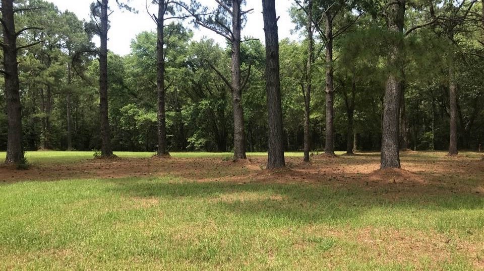 7045 Oak Point Lane Fairhope, AL 36532 - Photo 1 of 10