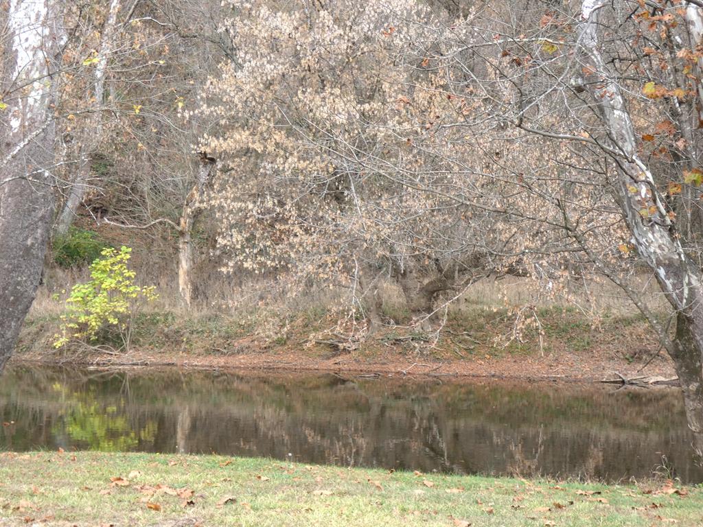 608 River Road Saltville, VA 24370 - Photo 20 of 26 Gallery Image 20