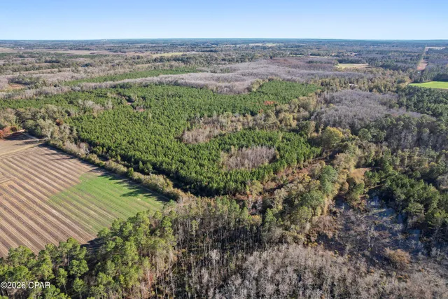 $294,500 | 0 New Prospect Road, Chipley, FL 32428