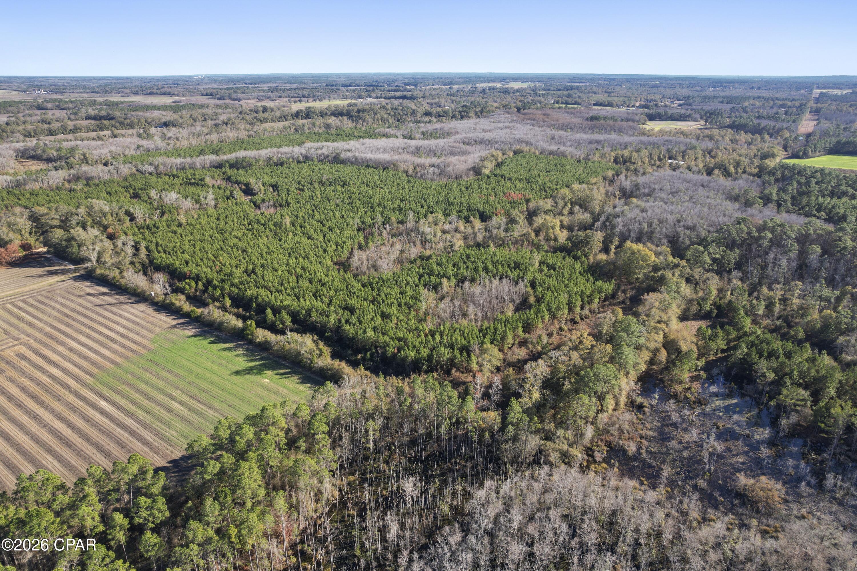 0 New Prospect Road Chipley, FL 32428 - Photo 11 of 19