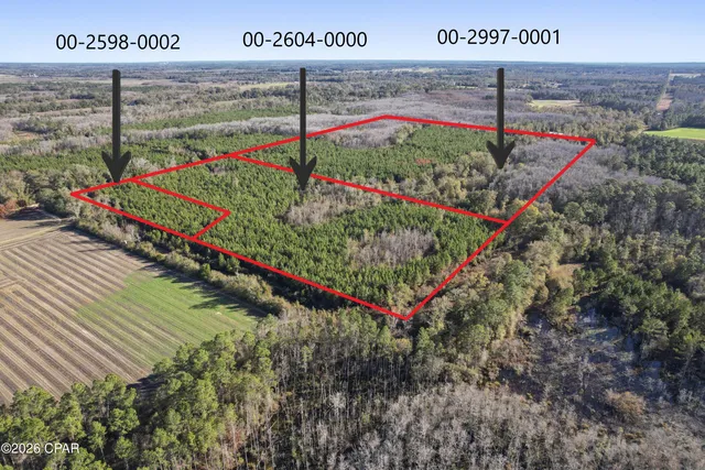 $294,500 | 0 New Prospect Road, Chipley, FL 32428