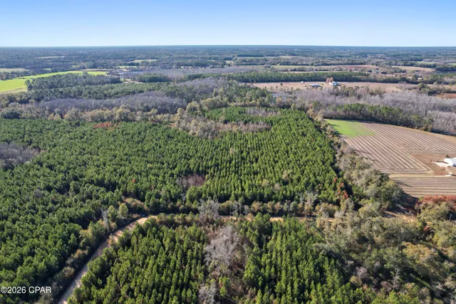 $294,500 | 0 New Prospect Road, Chipley, FL 32428