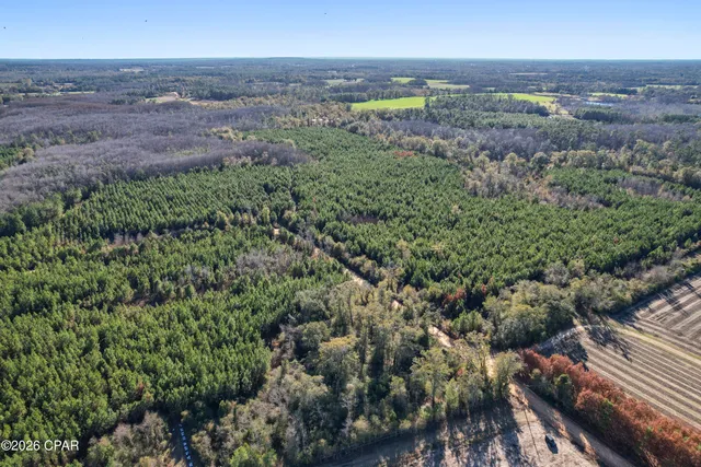 $294,500 | 0 New Prospect Road, Chipley, FL 32428