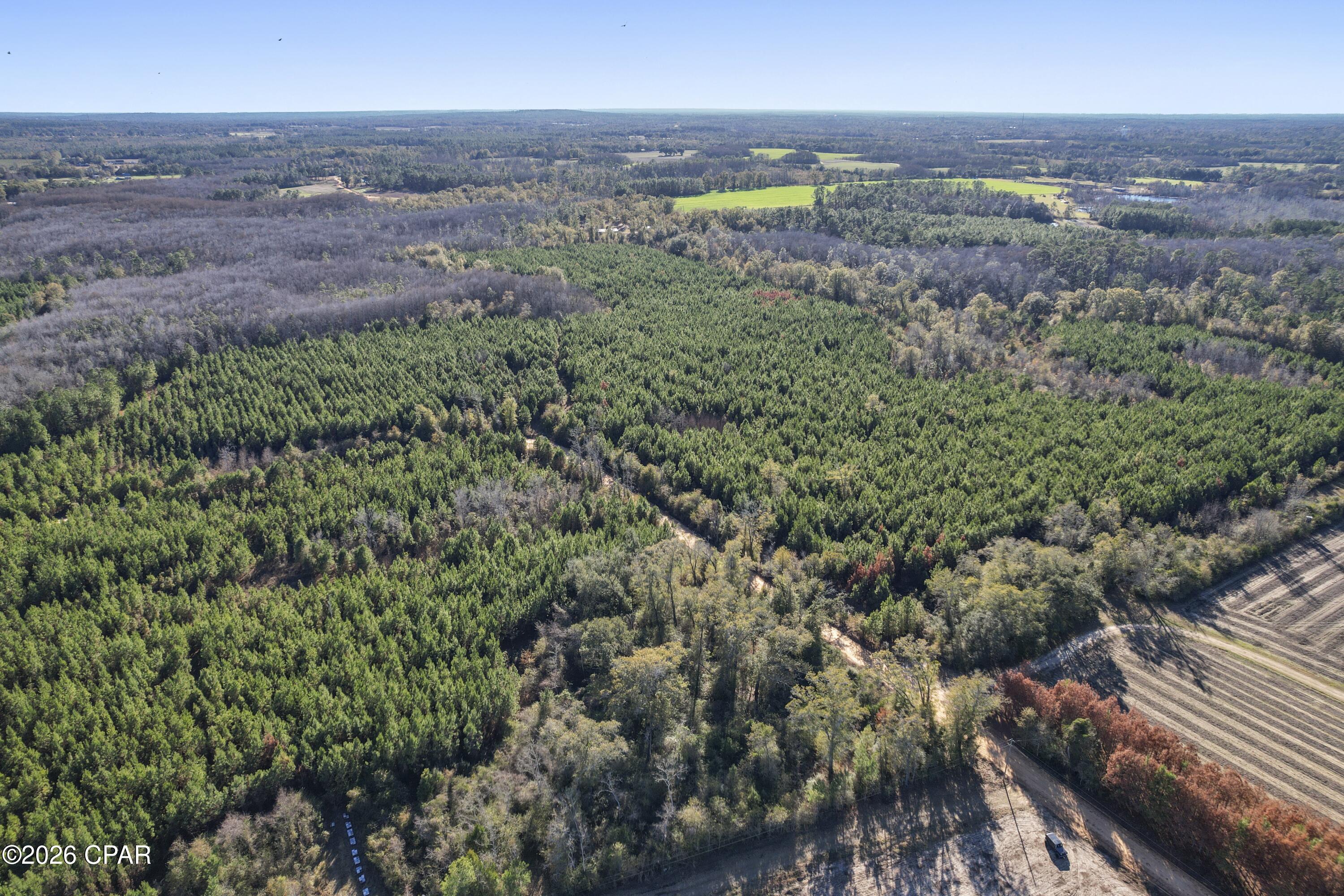 0 New Prospect Road Chipley, FL 32428 - Photo 15 of 19