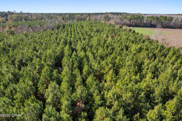 $294,500 | 0 New Prospect Road, Chipley, FL 32428