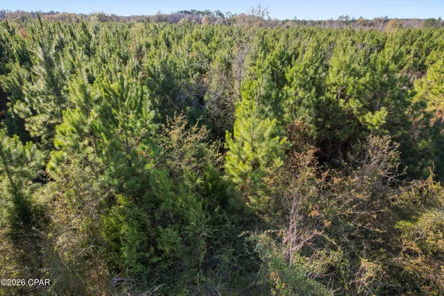 $294,500 | 0 New Prospect Road, Chipley, FL 32428