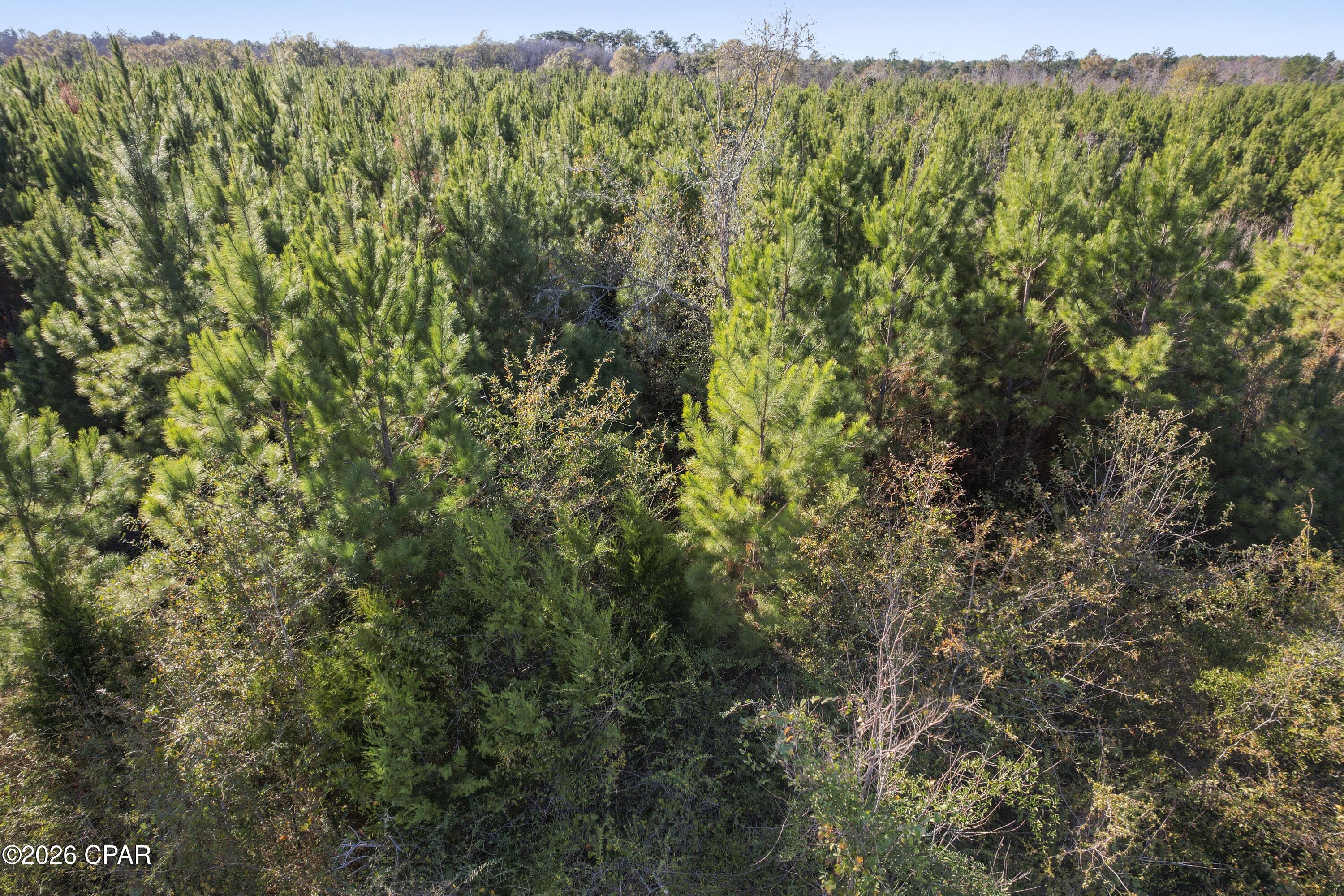 0 New Prospect Road Chipley, FL 32428 - Photo 17 of 19