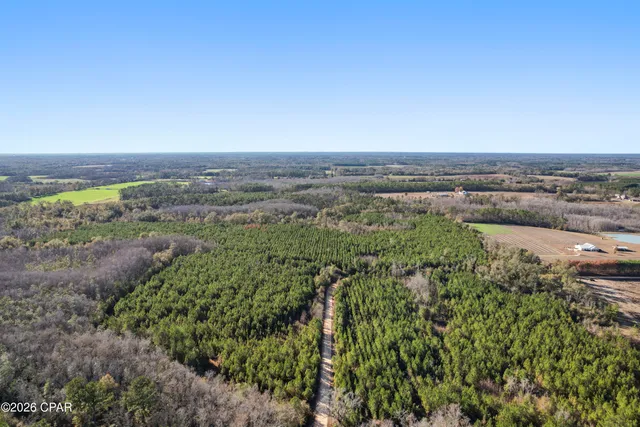 $294,500 | 0 New Prospect Road, Chipley, FL 32428