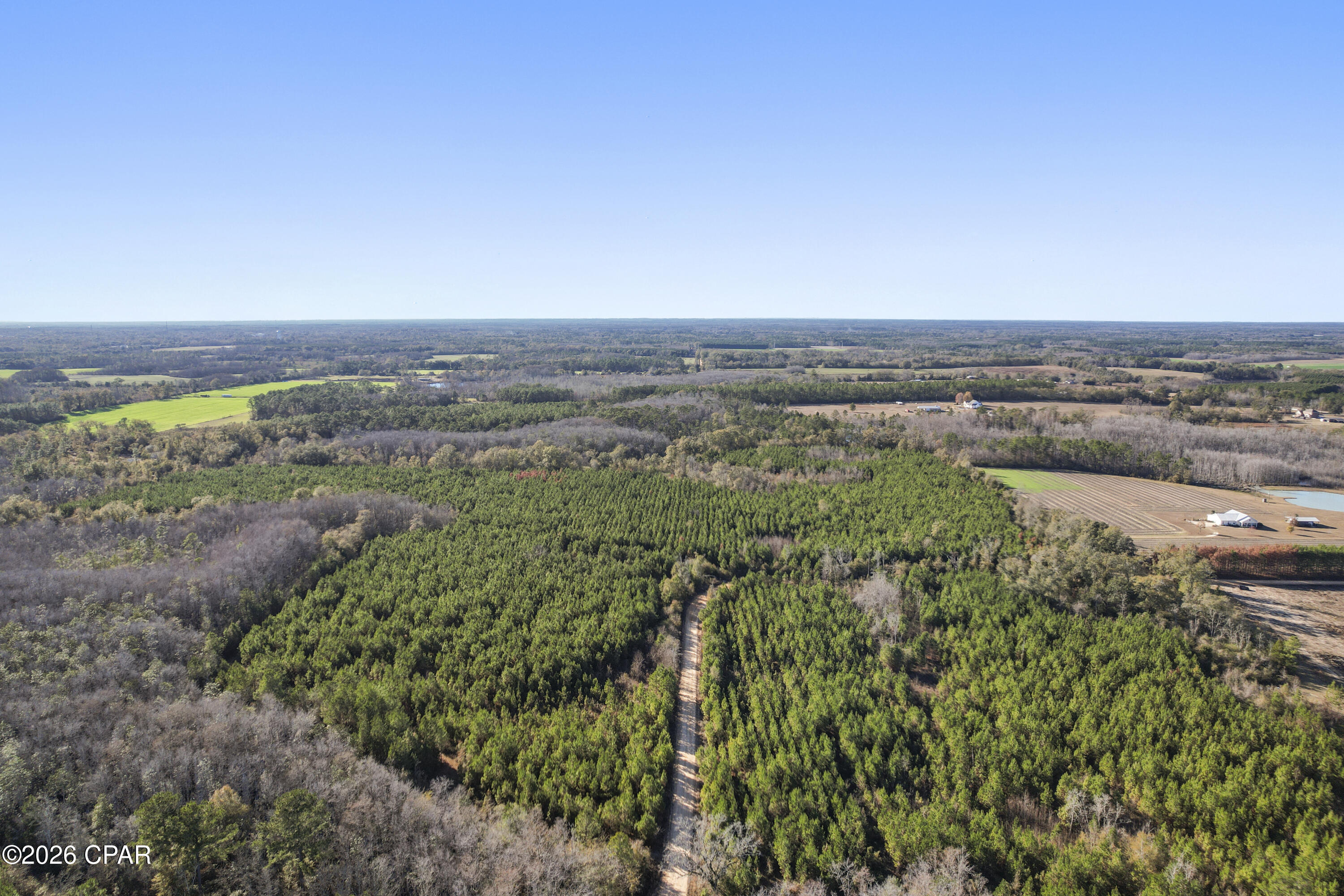 0 New Prospect Road Chipley, FL 32428 - Photo 19 of 19