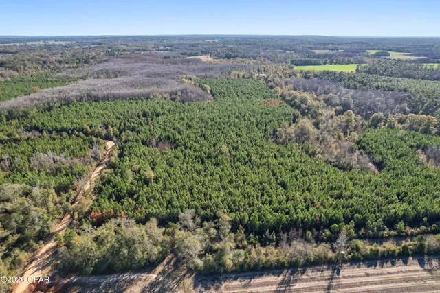 $294,500 | 0 New Prospect Road, Chipley, FL 32428