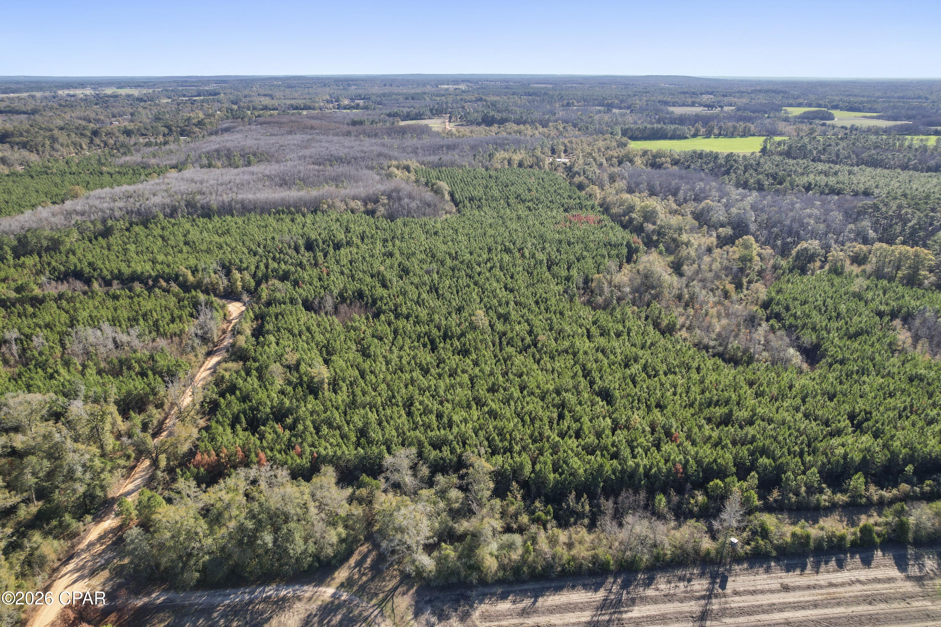 0 New Prospect Road Chipley, FL 32428 - Photo 2 of 19