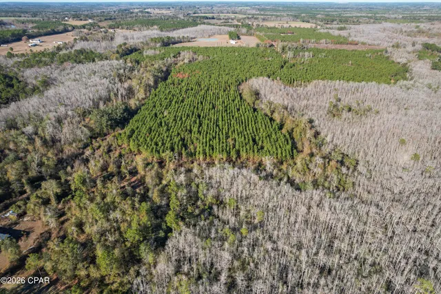 $294,500 | 0 New Prospect Road, Chipley, FL 32428