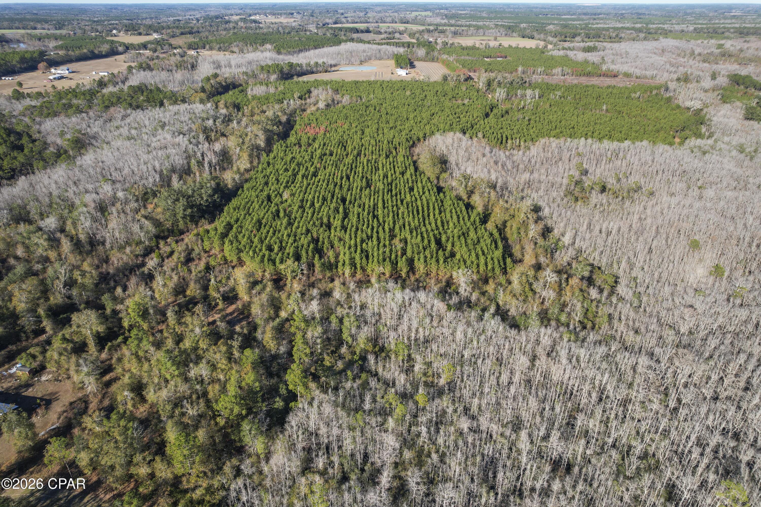 0 New Prospect Road Chipley, FL 32428 - Photo 3 of 19