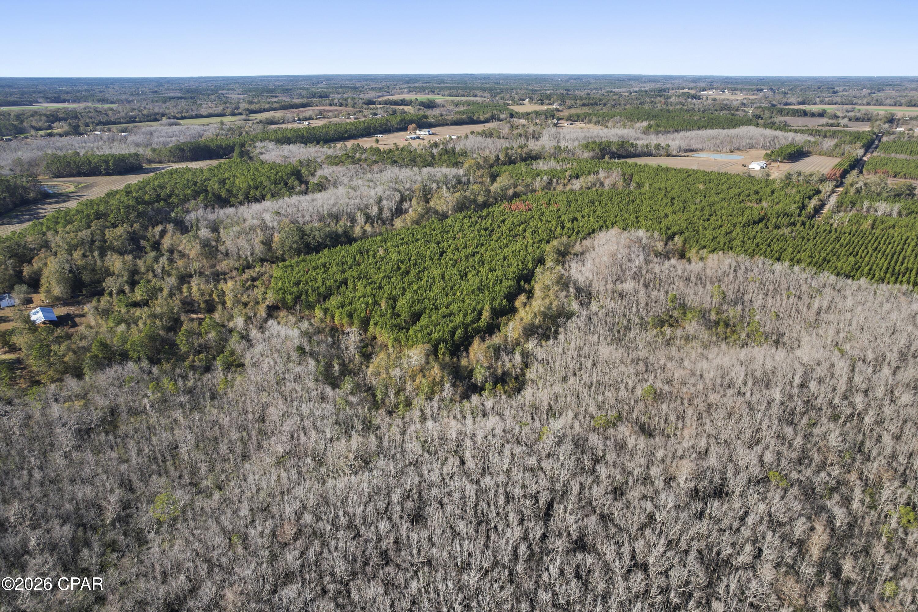 0 New Prospect Road Chipley, FL 32428 - Photo 4 of 19