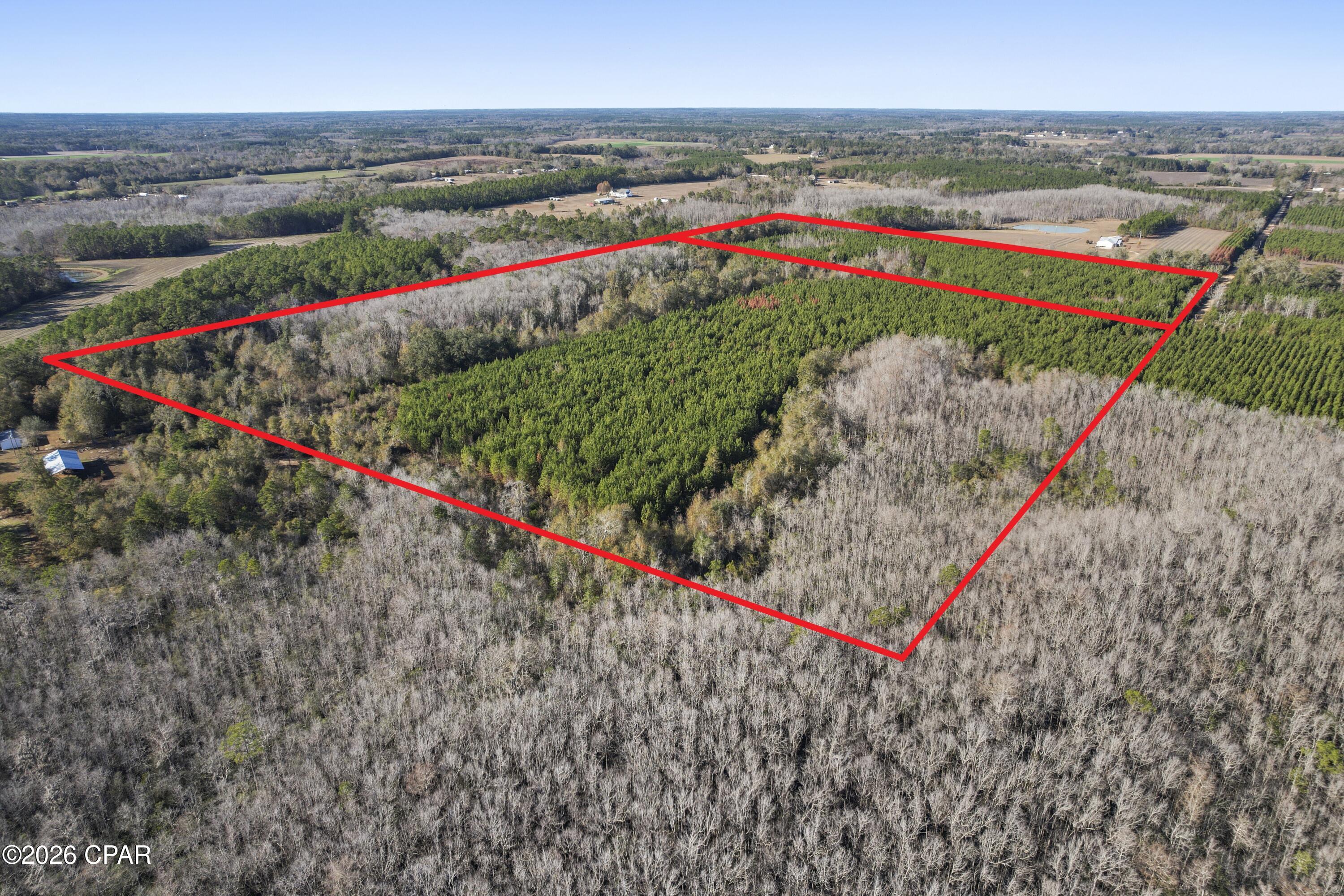 0 New Prospect Road Chipley, FL 32428 - Photo 6 of 19