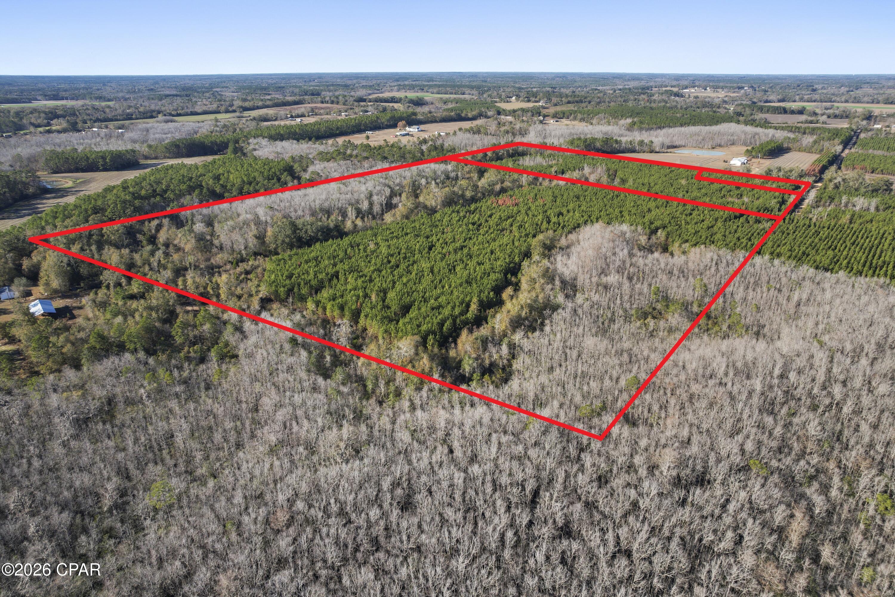 0 New Prospect Road Chipley, FL 32428 - Photo 7 of 19