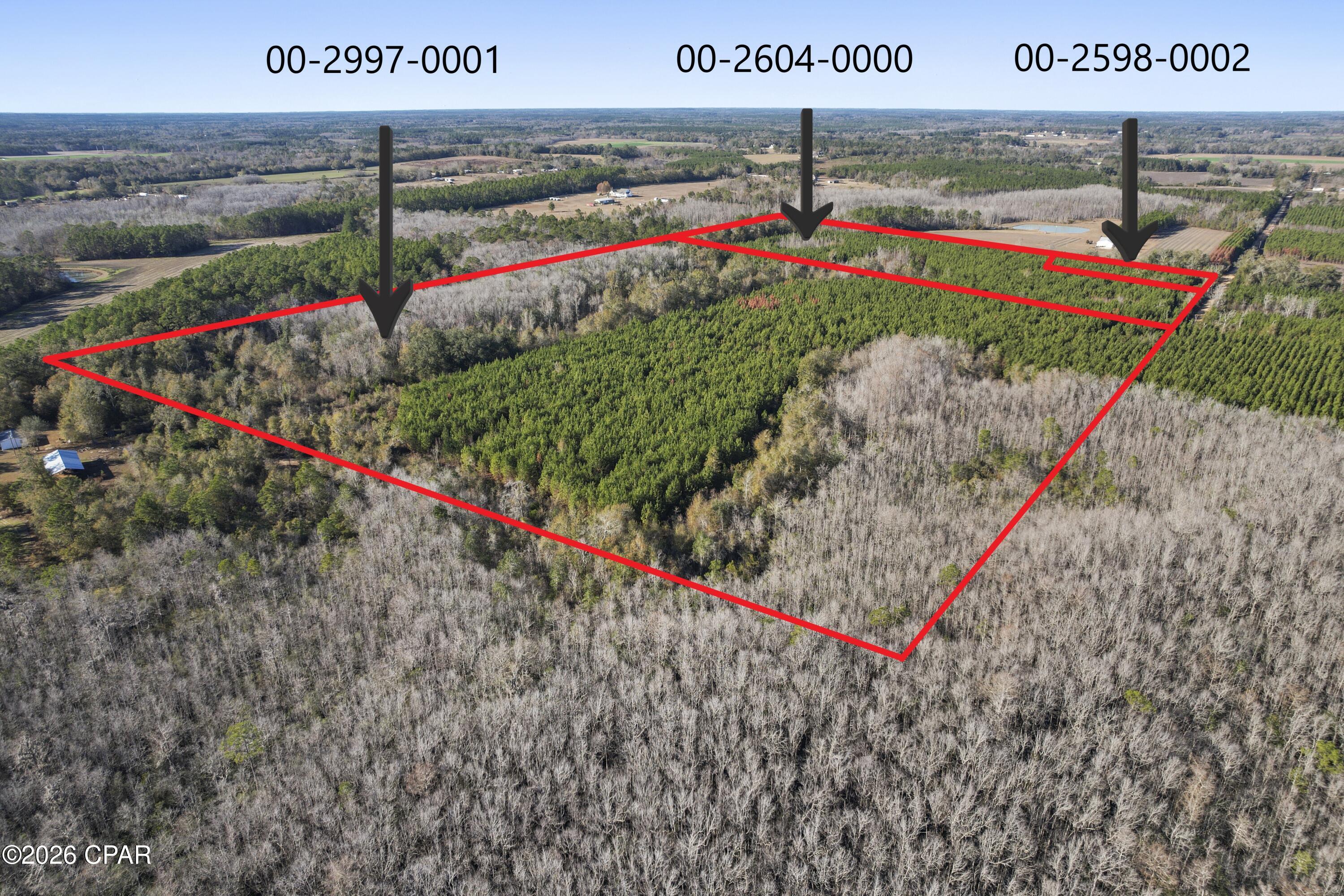 0 New Prospect Road Chipley, FL 32428 - Photo 8 of 19